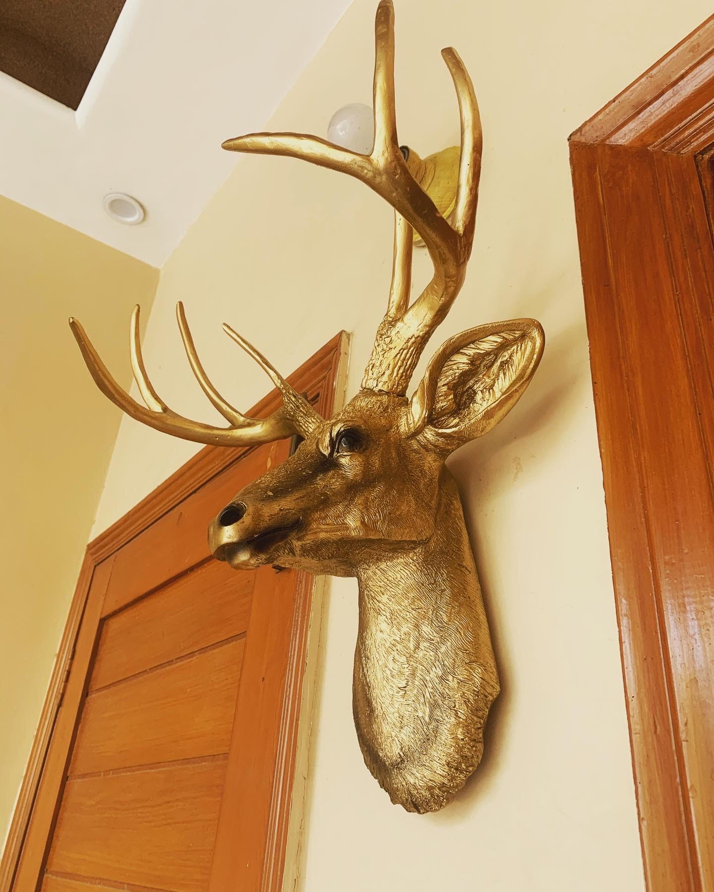 golden-deer-wall-mount-trophy-resin-taxidermy-the-artifacts-gallery