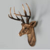 Royal Deer Wall Mount Trophy | Resin Taxidermy - Image 3