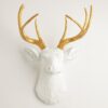 Golden White Deer Wall Mount Trophy | Resin Taxidermy