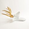 Golden White Deer Wall Mount Trophy | Resin Taxidermy - Image 2
