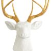 Golden White Deer Wall Mount Trophy | Resin Taxidermy - Image 3